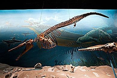 《最终幻想14》总监吉田直树：在死之前想做全新MMO游戏