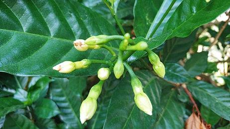 由于欧盟对苹果做出的调整 《堡垒之夜》有望在今年重返iOS